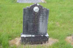 Freehill Laurance Castleteehan